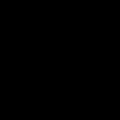 MANGO Image 3