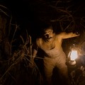 TUMBBAD Image 2