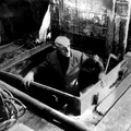 NOSFERATU Image 1