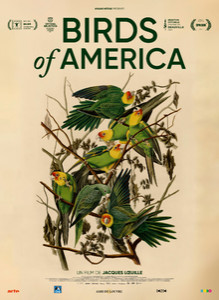 BIRDS OF AMERICA Image 1