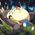 MON VOISIN TOTORO Image 2