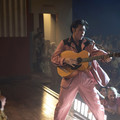 ELVIS Image 1