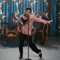 ELVIS Image 3