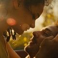 AMERICAN HONEY Image 4