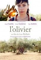 L'OLIVIER