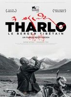 THARLO, LE BERGER TIBÉTAIN